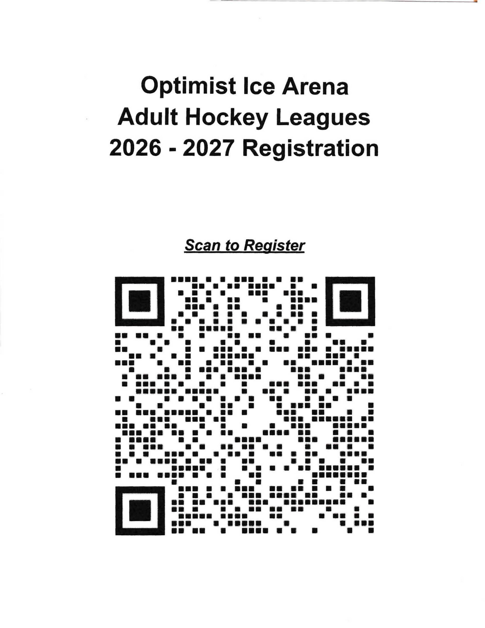 Adult Hockey